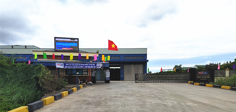 5.騰旋助力越南米亞表面施膠連續蒸煮系統